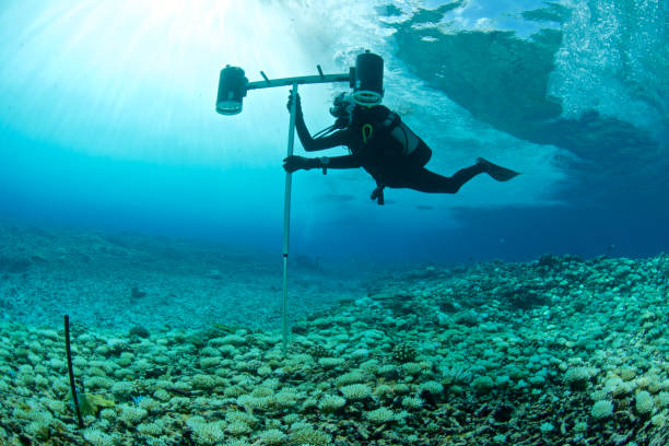 Marine Biology pathway
